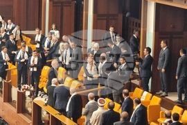 Турция - Махмуд Абас - парламент