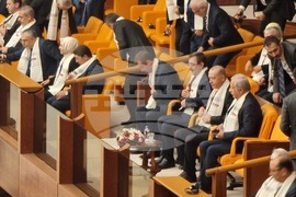 Турция - Махмуд Абас - парламент