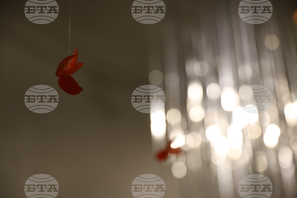 Пространствена инсталация - Юлиян Табаков - откриване