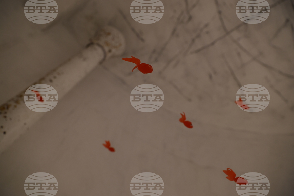 Пространствена инсталация - Юлиян Табаков - откриване