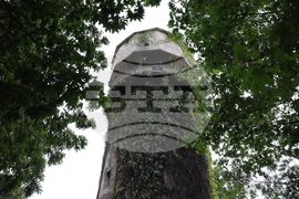 Пространствена инсталация - Юлиян Табаков - откриване - Водна кула