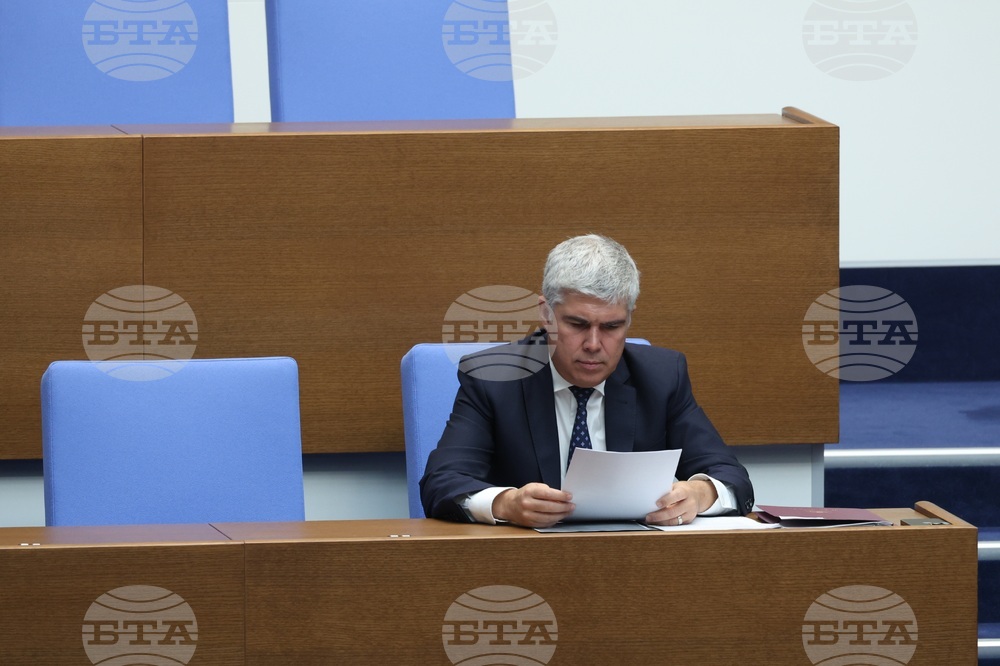 Парламент - заседание - Владимир Малинов