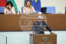 Парламент - заседание - Владимир Малинов