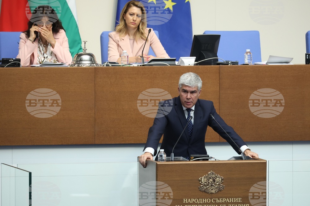 Парламент - заседание - Владимир Малинов