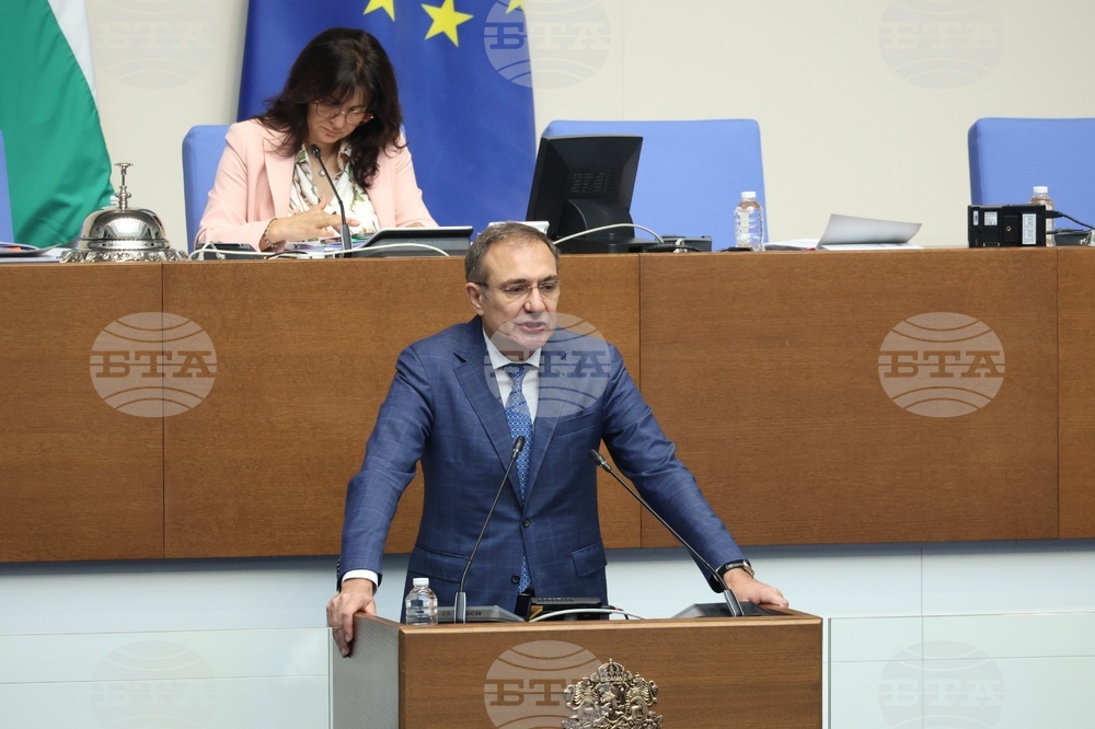 Парламент - заседание - Борислав Гуцанов