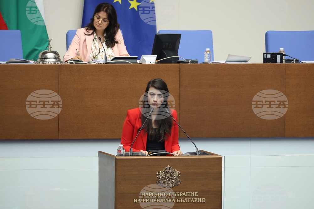 Парламент - заседание - Лена Бориславова