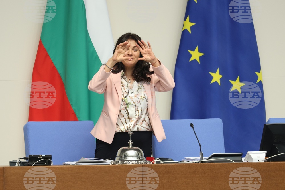 Парламент - заседание - Росица Кирова