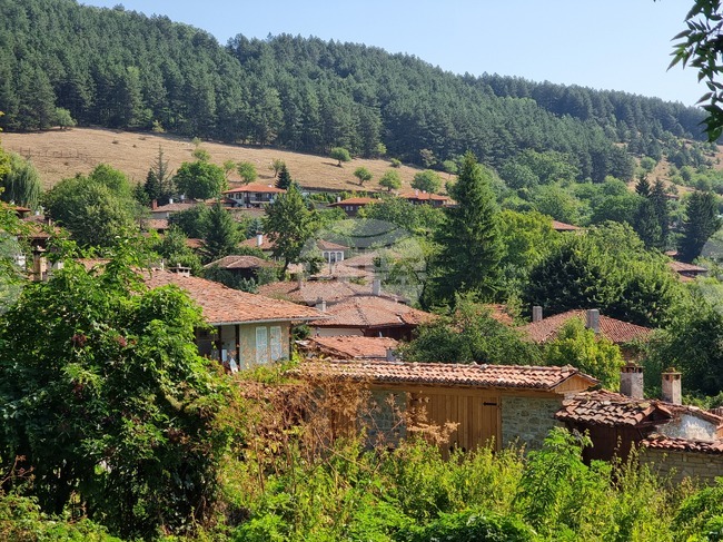 Над 30 ученици се включиха в открит урок по география в Българското училище в Сао Пауло, Бразилия