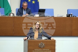 Парламентарен контрол - Маргарита Махаева
