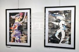 Троян - Лалех Барзегар - изложба - „Серякова къща“