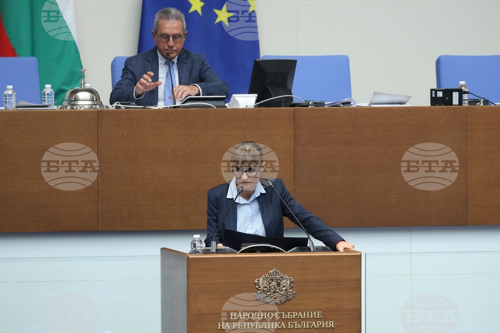 Парламентарен контрол - Вера Александрова