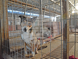 Снимка: Община Варна