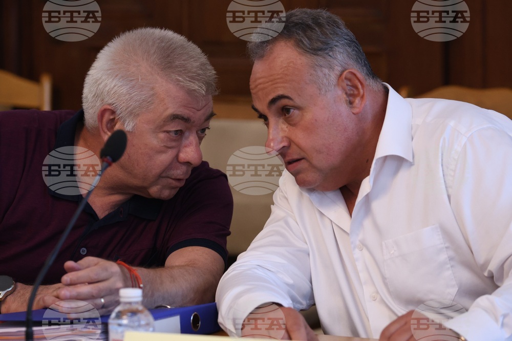 Народно събрание - Временна комисия - корупционни практики