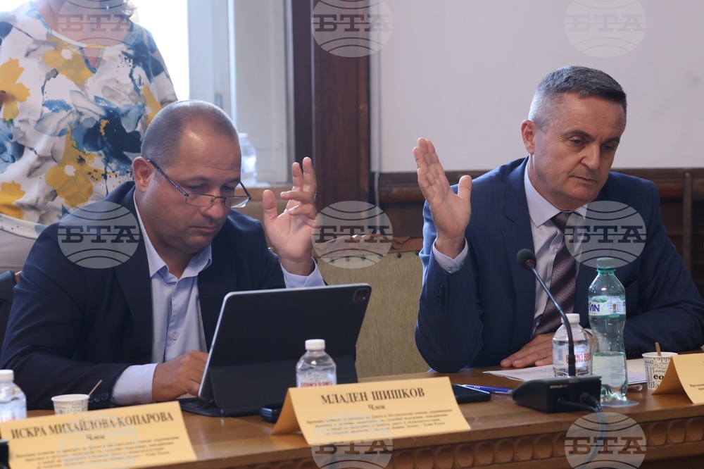 Народно събрание - Временна комисия - корупционни практики