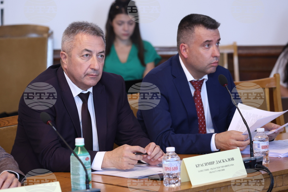 Народно събрание - Временна комисия - корупционни практики