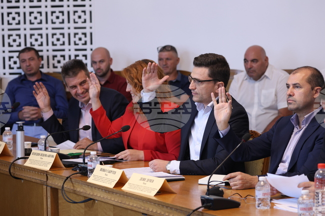 Народно събрание - Временна комисия - корупционни практики