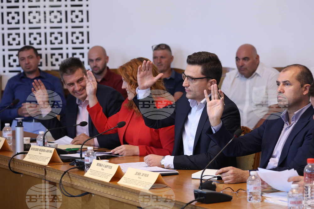 Народно събрание - Временна комисия - корупционни практики