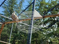 Снимка: Община Стара Загора