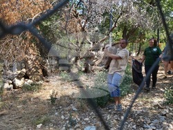 Снимка: Община Стара Загора