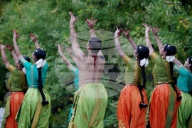 Дни на индийската култура - закриване