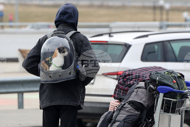 Изчезване на котка по време на полет между Кипър и Гърция предизвика спешно разследване 