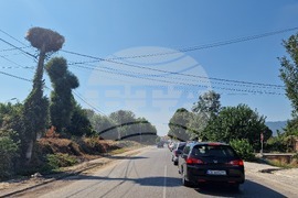 ГКПП Кулата - трафик