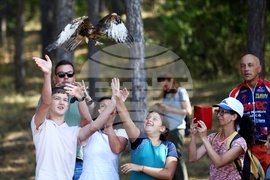 Зелени Балкани - птици - освобождаване