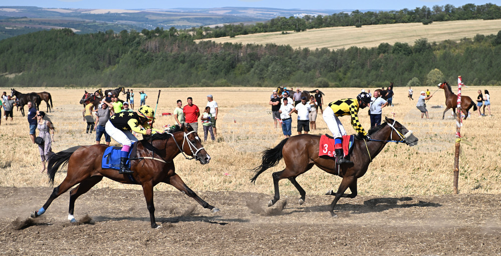 Село Самуил - конни надбягвания