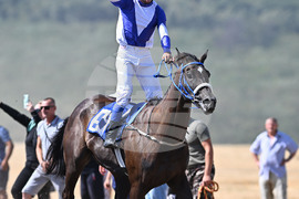 Село Самуил - конни надбягвания
