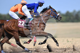 Село Самуил - конни надбягвания