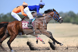 Село Самуил - конни надбягвания