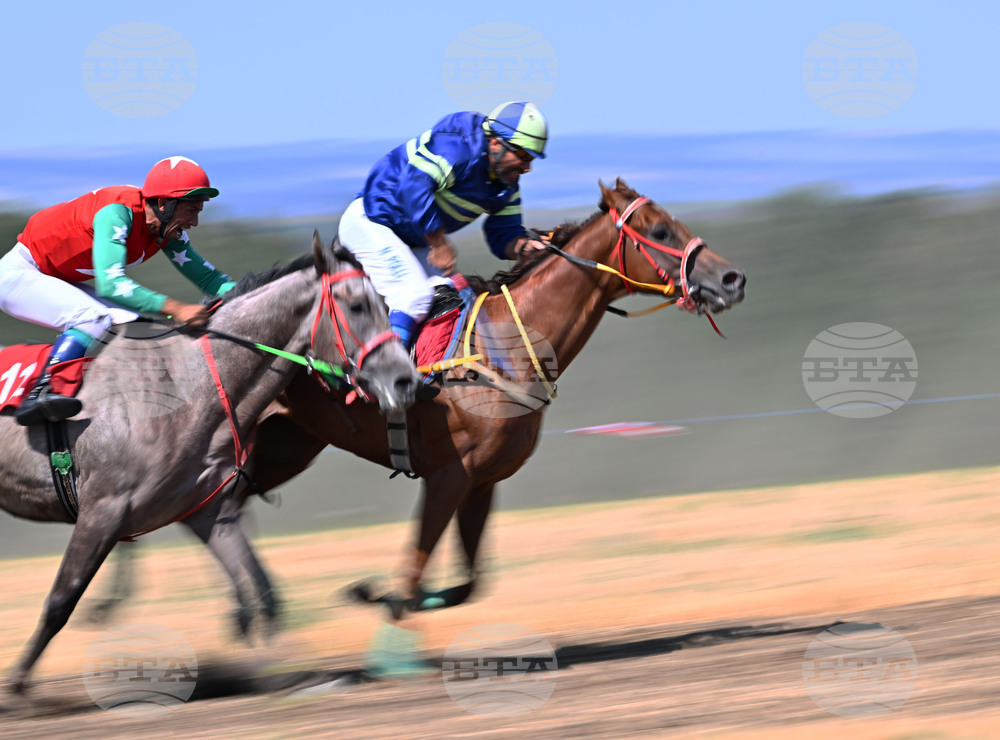 Село Самуил - конни надбягвания