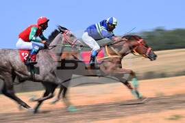 Село Самуил - конни надбягвания