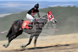 Село Самуил - конни надбягвания