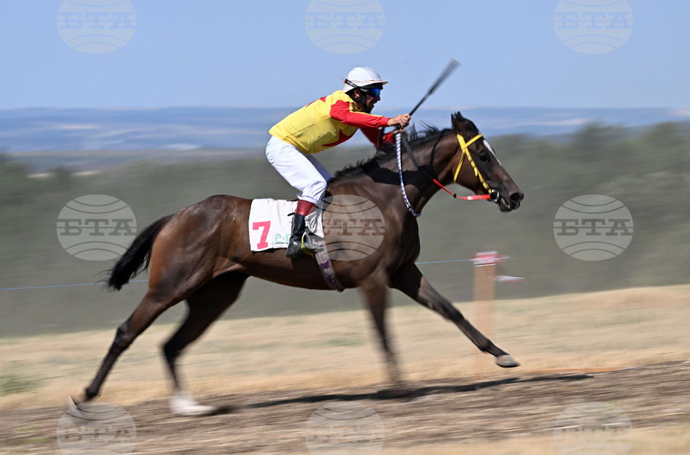 Село Самуил - конни надбягвания