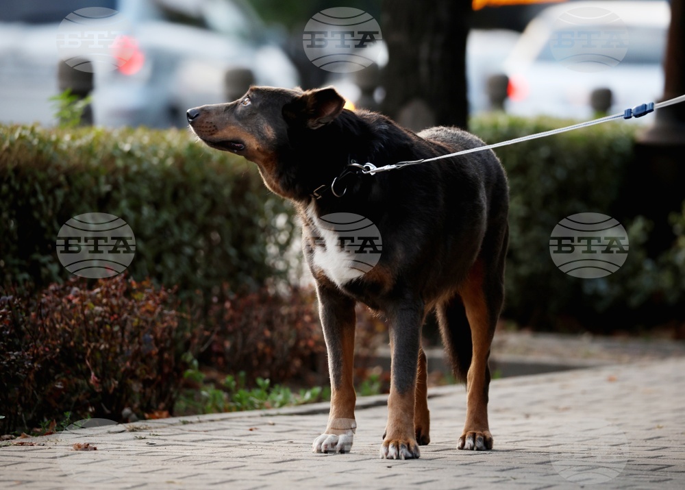 Резиденция на посланика на Република Турция в София - бдение