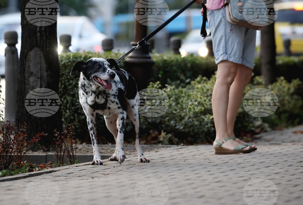 Резиденция на посланика на Република Турция в София - бдение