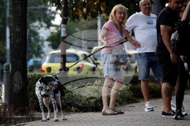 Резиденция на посланика на Република Турция в София - бдение