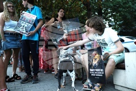 Резиденция на посланика на Република Турция в София - бдение