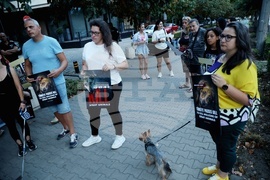 Резиденция на посланика на Република Турция в София - бдение