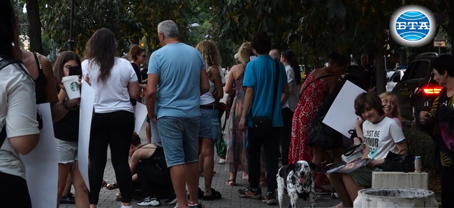 С бдение в София граждани искат да повишат общественото внимание върху закона за бездомните животни в Турция