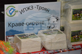 Русе - изложение