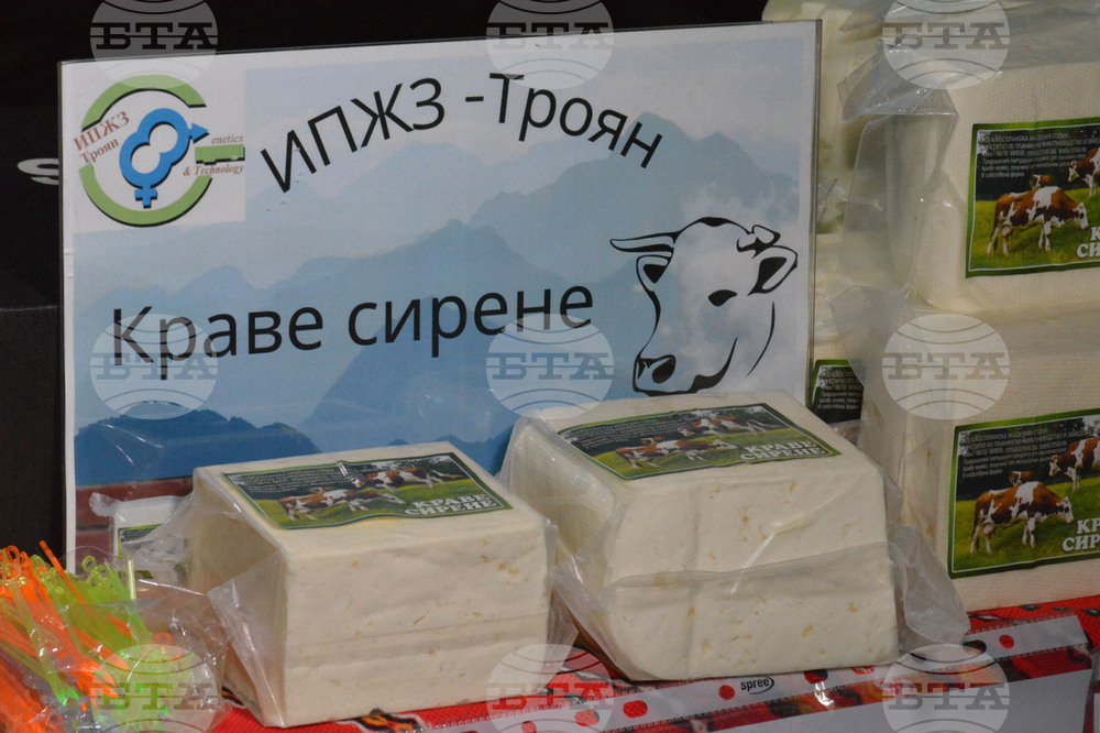 Русе - изложение