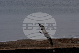 Бургас - водна атракция