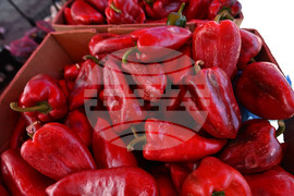 Село Подайва - неделен пазар