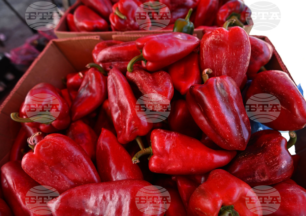 Село Подайва - неделен пазар