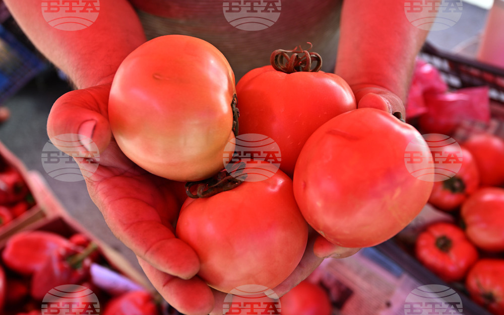 Fruit and Vegetable Producers Gather in Plovdiv for National Meeting