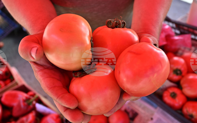 Fruit and Vegetable Producers Gather in Plovdiv for National Meeting