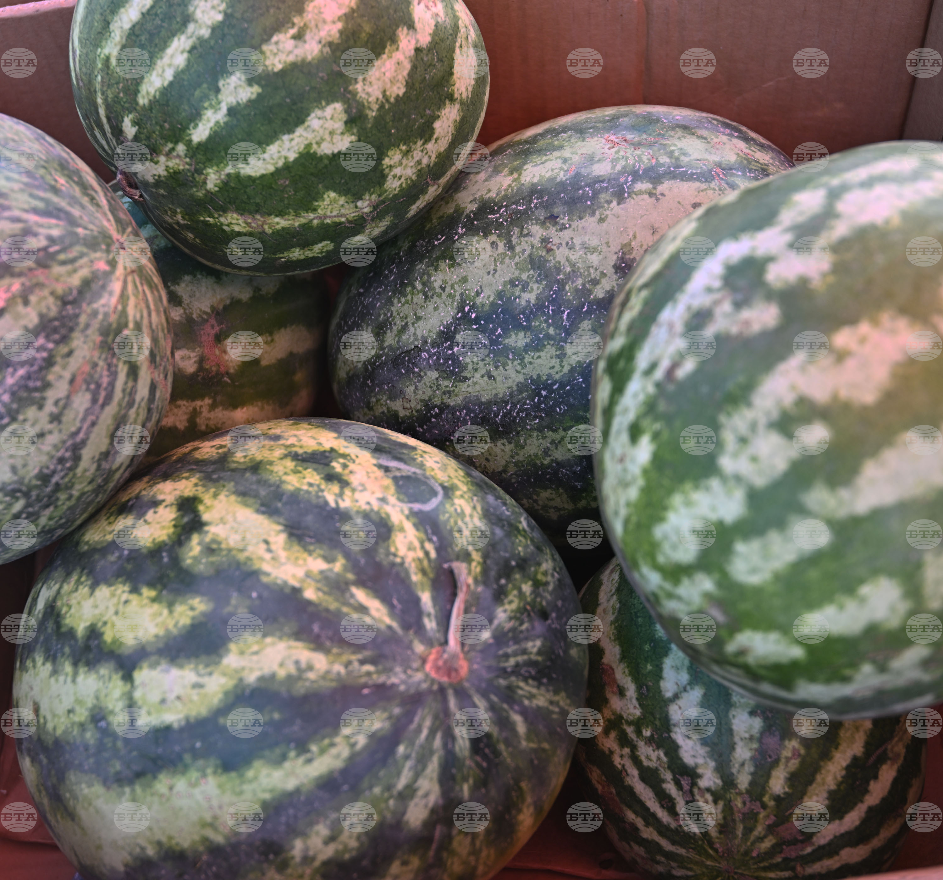 Село Подайва - неделен пазар