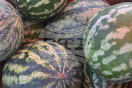 Село Подайва - неделен пазар